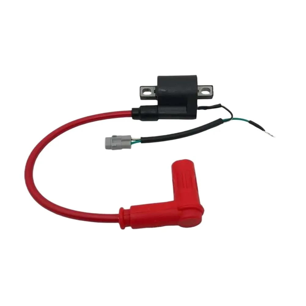 Main-03-Main-03 Pressure Coil Voltage Pack Compatible with DT230 HJ250H KEWS K16 K23 MT250 Motorcycle Engines off-road Motorcycle Ignition Coil